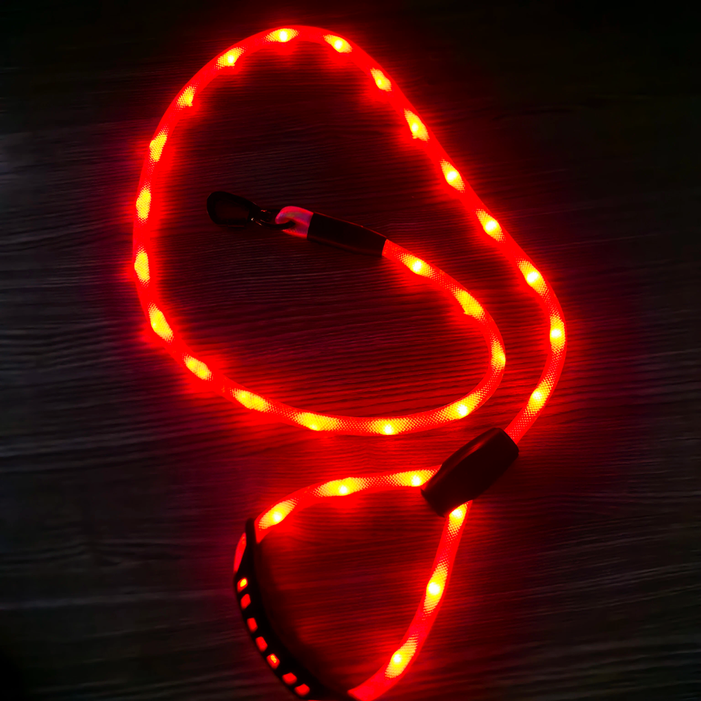 ✨ LIGHT UP RAVE LEASH ✨