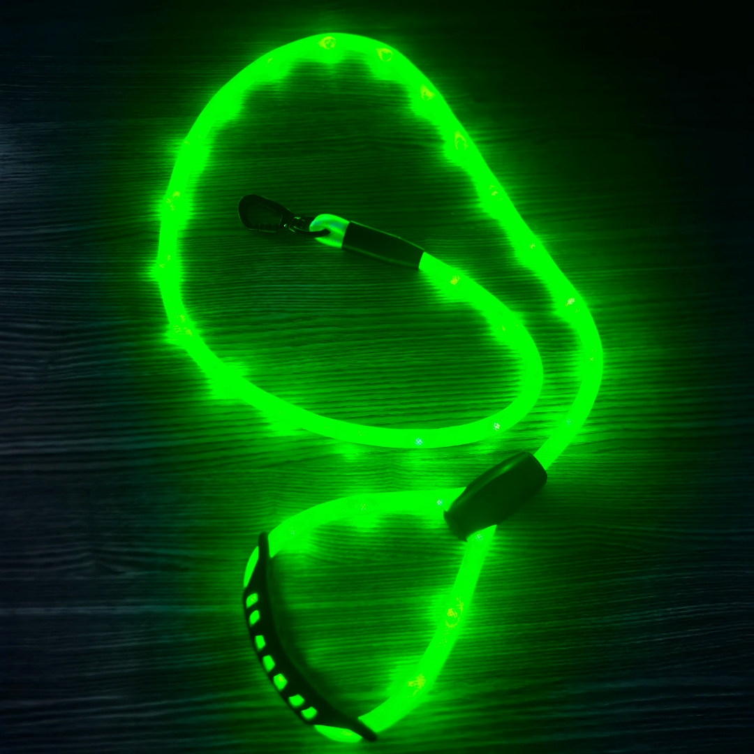 ✨ LIGHT UP RAVE LEASH ✨