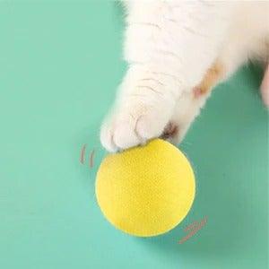 Smart Cat Toys Ball Catnip