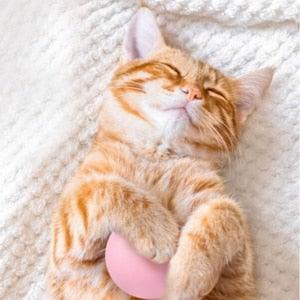 Smart Cat Toys Ball Catnip