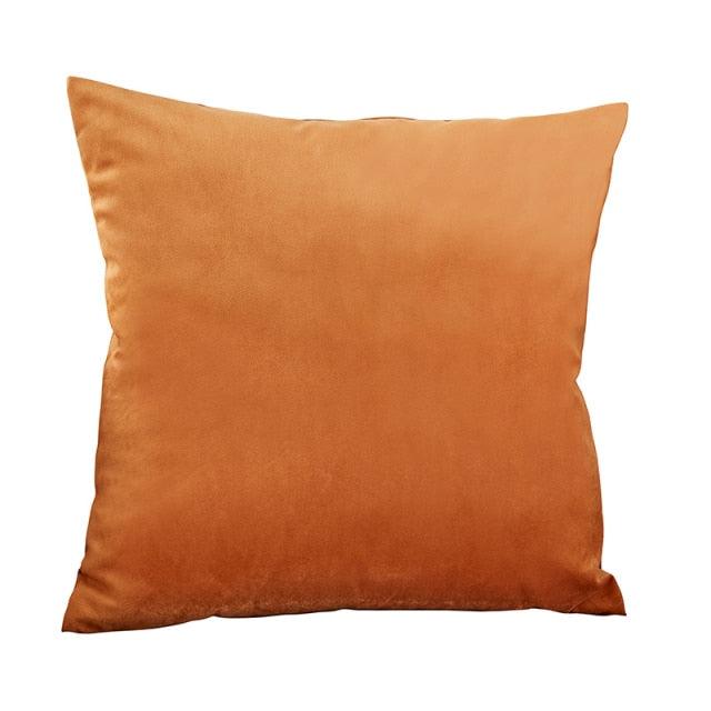 Super Soft Velvet Pillow Cover